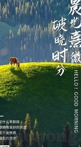 大象传媒下载汅api下载-探索大象传媒与汅API下载，数字时代的文化传播新视角