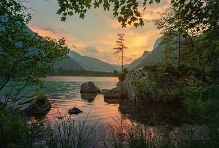 国产一区二区区别-国产一区二区，探索区域差异与文化特色