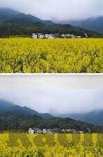 麻豆传媒直播官网-破晓之境，探索麻豆传媒直播官网的全方位解析