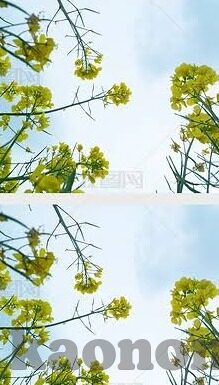 麻豆视频阿宾-麻豆视频阿宾——网络文化的双刃剑