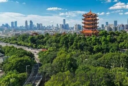 麻豆自制传媒app-探讨麻豆自制传媒app在数字时代的创新与影响