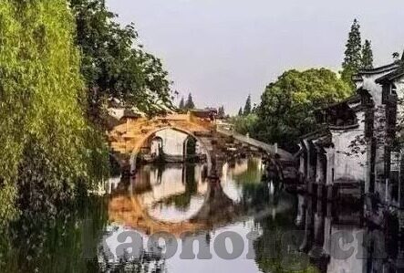 芒果大象传媒在线观看-芒果大象传媒，在线观看的精彩纷呈
