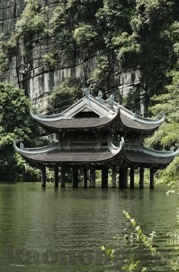 欧美成人短视频-欧美成人短视频，文化、社会与个人视角的交织