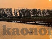 糖心视频vlog官网-试炼之眼的真实世界，揭秘糖心视频Vlog官网的深度体验